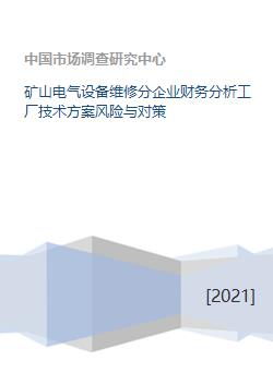 礦山電氣設(shè)備維修分企業(yè)財務(wù)分析、工廠技術(shù)方案風(fēng)險與對策及資本投資咨詢